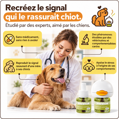 Diffuseur apaisant pour chiens