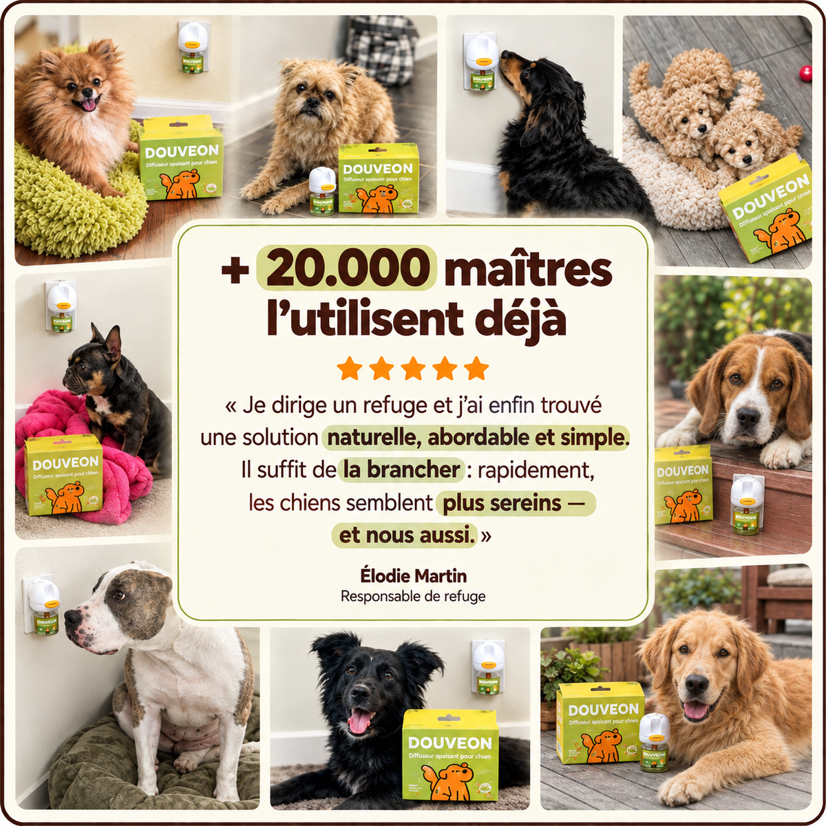 Diffuseur apaisant pour chiens