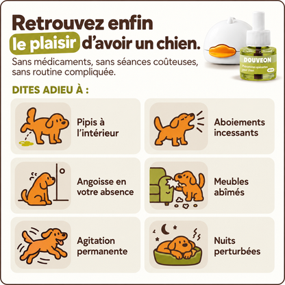Diffuseur apaisant pour chiens